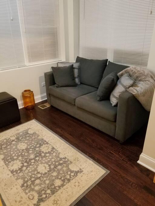 Apartament Nice And Cozy. Sleeps 5. Chicago Zewnętrze zdjęcie